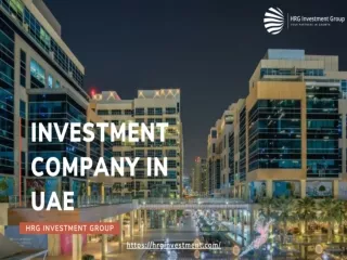 Investment Company In UAE