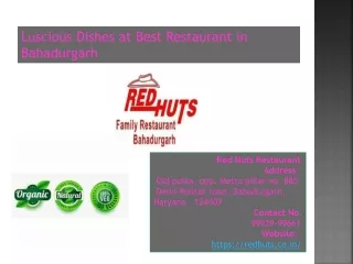 luscious dishes at best restaurant in bahadurgarh