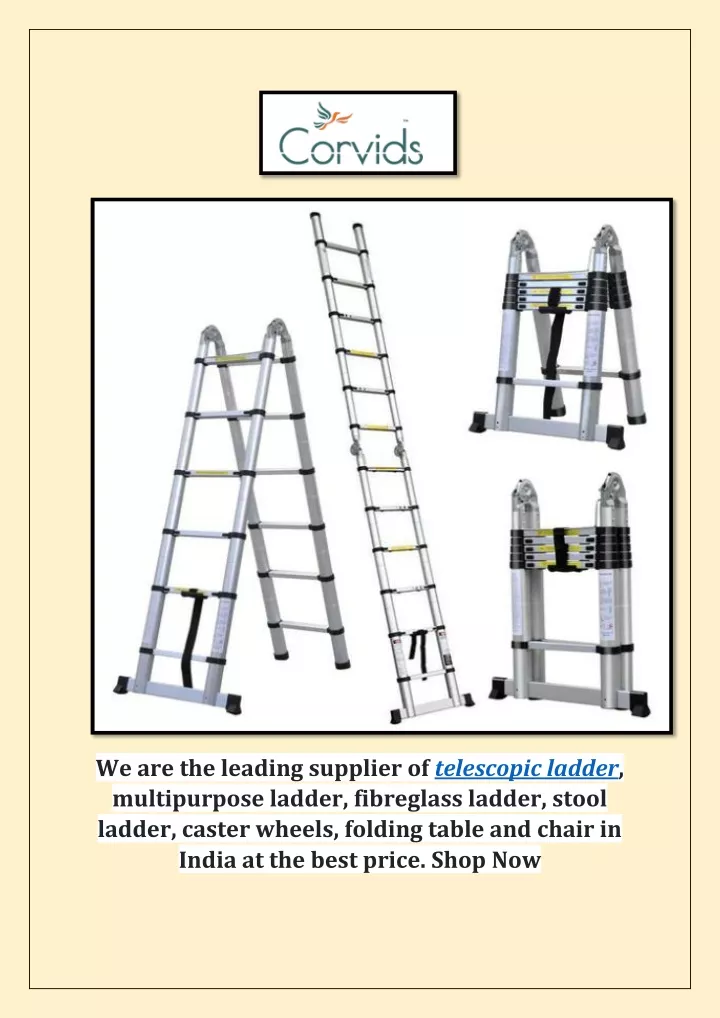 we are the leading supplier of telescopic ladder