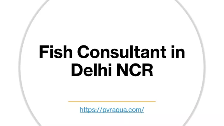 fish consultant in delhi ncr