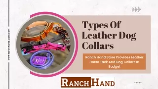 types of leather dog collars