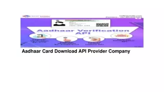 aadhaar card download api provider company