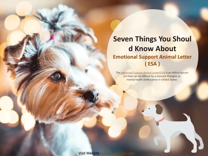 seven things you should know about emotional support animal letter esa