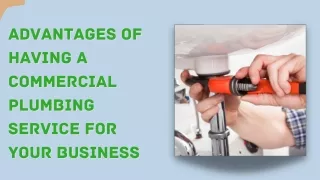 Know about the Advantages of having a commercial plumbing service