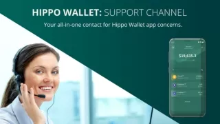 Hippo Wallet Showcases Support to Users with Responsive CSR Team