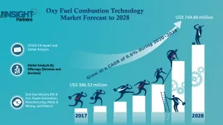 Oxy Fuel Combustion Technology Market 2022 to Grow at a CAGR of 9.6%