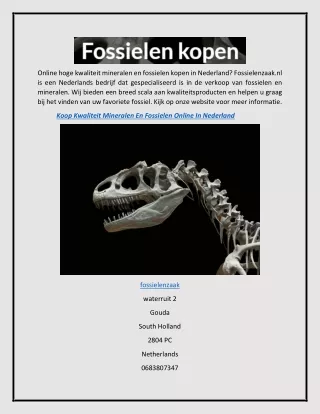 Koop Kwaliteit Mineralen en Fossielen Online in Nederland  Fossielenzaak.nl