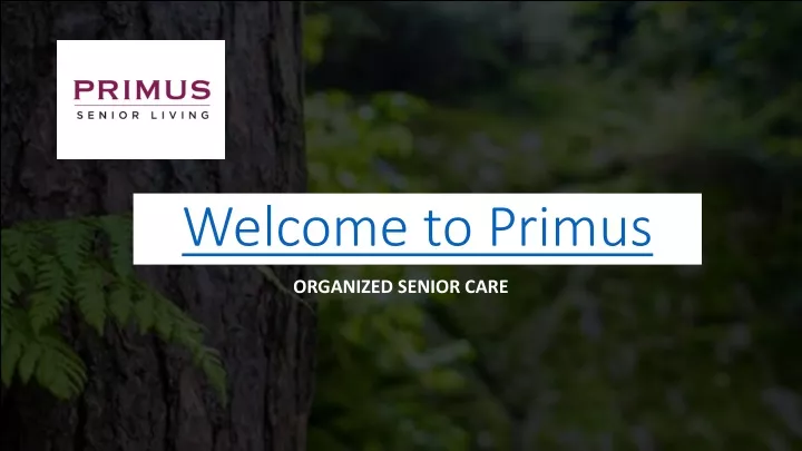 welcome to primus