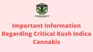 important information regarding critical kush