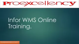 Proexcellency Provides Infor WMS Online Training