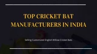 Top Cricket Bat Manufacturers In India