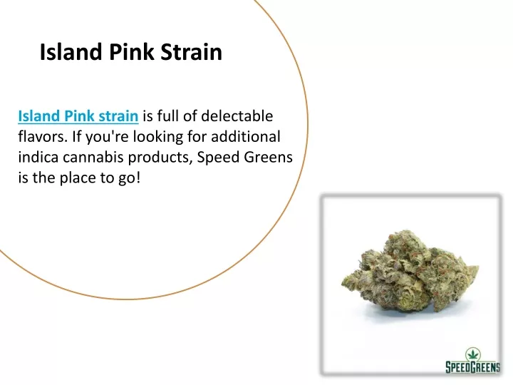 island pink strain
