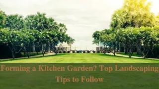 Forming a Kitchen Garden Top Landscaping Tips to Follow