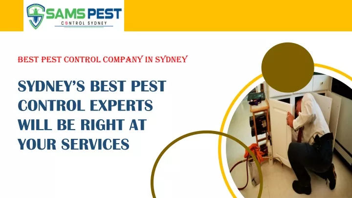 best pest control company in sydney