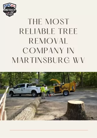 The Most Reliable Tree Removal Company in Martinsburg WV