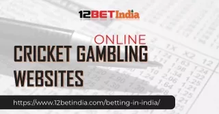 Online Cricket Gambling Website - 12 Bet India