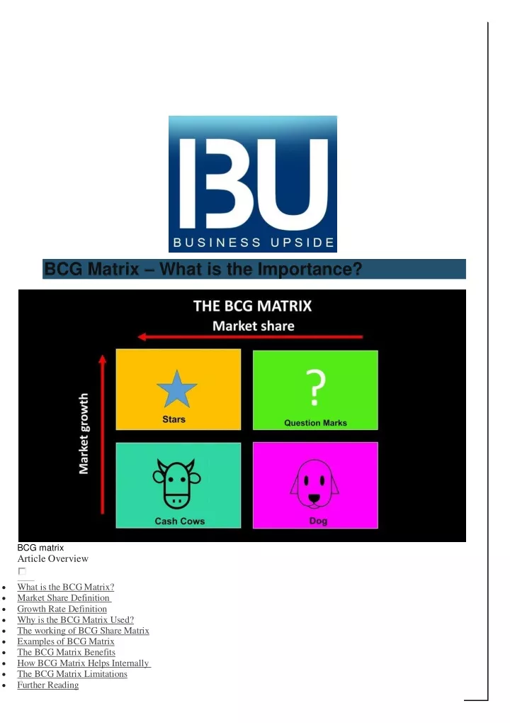 bcg matrix what is the importance