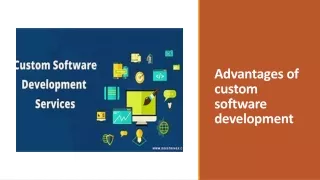 advantages of custom software development