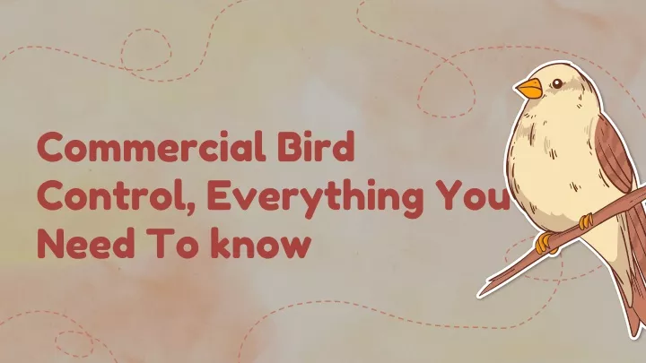 commercial bird control everything you need to know