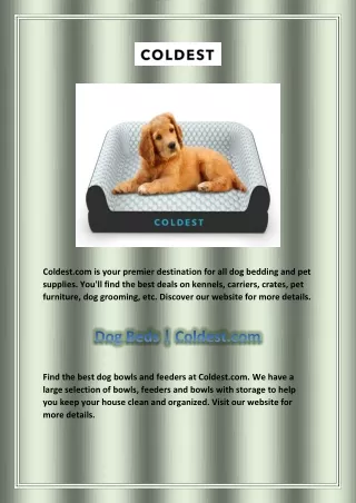 coldest com is your premier destination