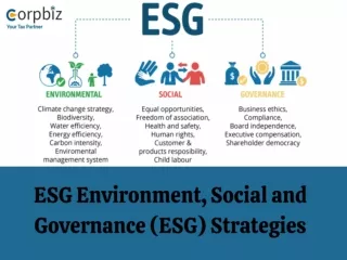 environmental, social, and governance (ESG) strategies