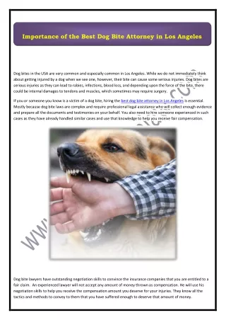 importance of the best dog bite attorney