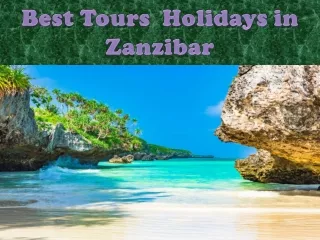Best Tours  Holidays in Zanzibar