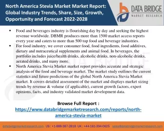 north america stevia market market report global