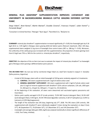 AMAFERM® SUPPLEMENTATION IMPROVES LIVEWEIGHT AND UNIFORMITY IN BACKGROUNDING BRANGUS CATTLE GRAZING