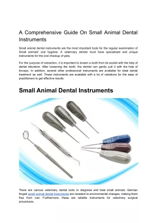 Small Animal Dental Instruments