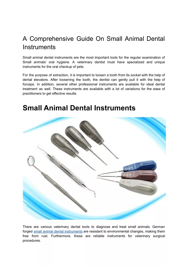 a comprehensive guide on small animal dental