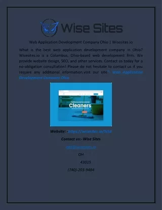 Web Application Development Company Ohio  Wisesites.io