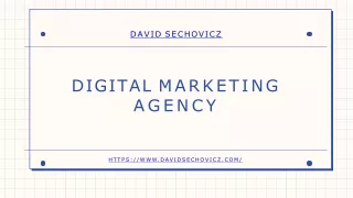 david sechovicz