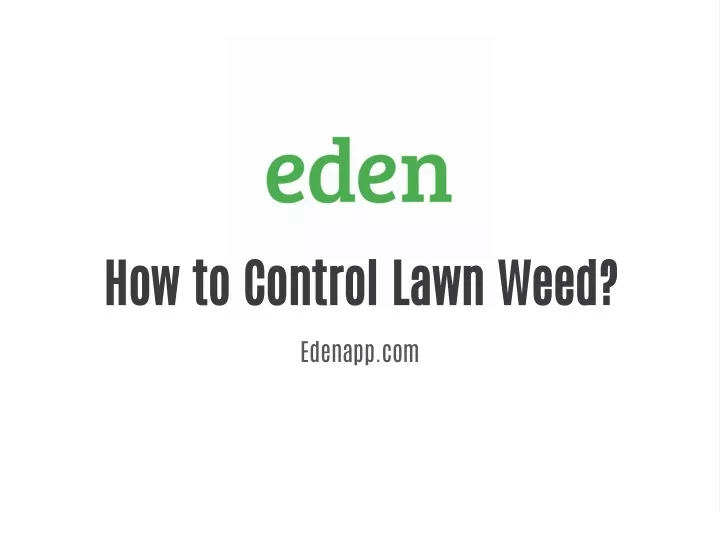 how to control lawn weed