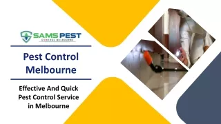 pest control melbourne
