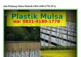 alat pelubang mulsa elektrik o831 418o 1778 wa