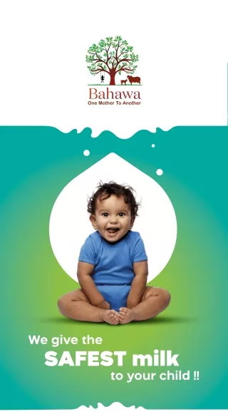 we give the safest milk