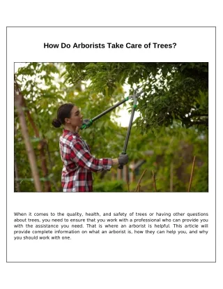 What Does an Arborist Do to Take Care of Trees?