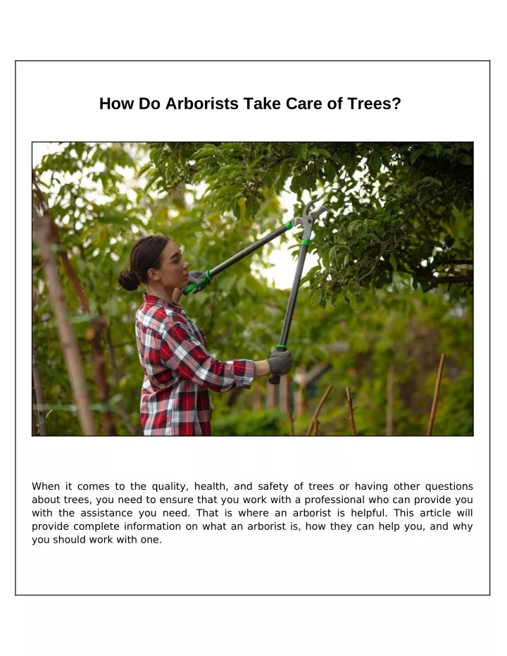 how do arborists take care of trees