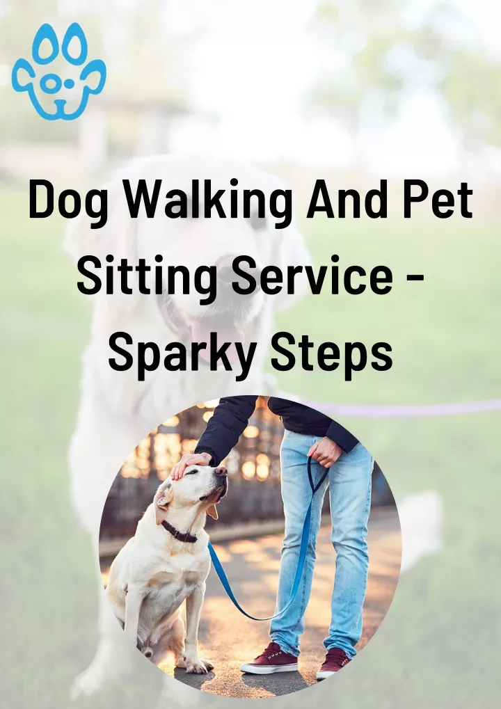 dog walking and pet sitting service sparky steps