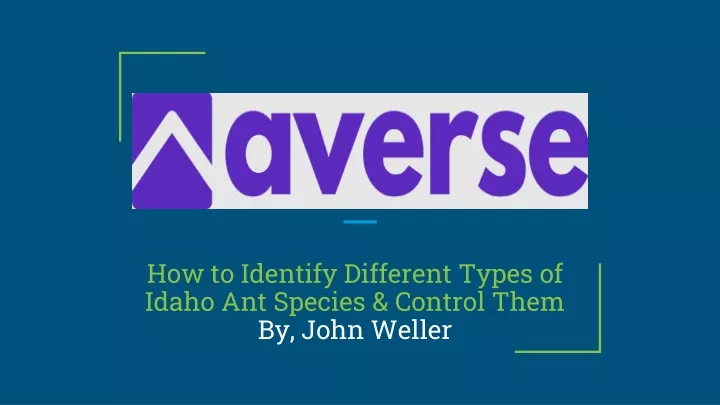 how to identify different types of idaho ant species control them by john weller
