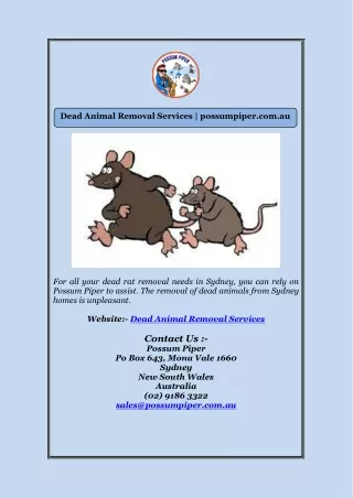 Dead Animal Removal Services | possumpiper.com.au