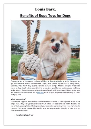4 Benefits of Rope Toys for Dogs Louis Barx