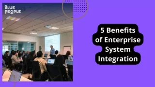 5 Benefits of Enterprise System Integration