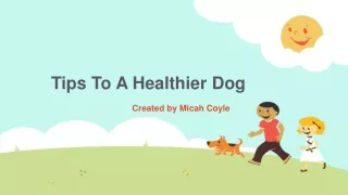 tips to a healthier dog