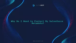 Why Do I Need to Protect My Salesforce Metadata?