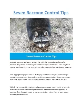 Seven Raccoon Control Tips