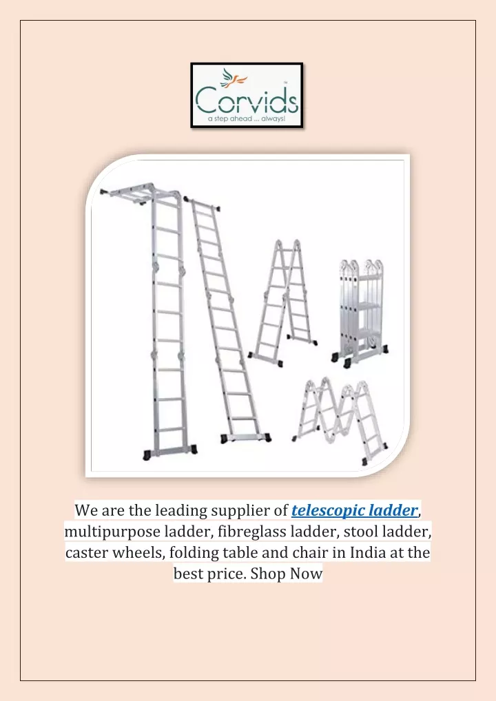 we are the leading supplier of telescopic ladder