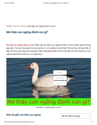 14 56 16 07 2022