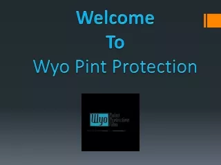 Best Protective Film Car Cheyenne Wyoming | Wyo Paint Protection